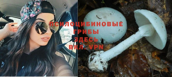 эйфоретик Абинск
