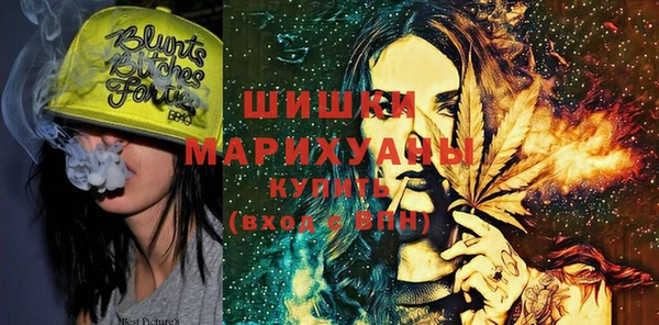 бошки Алексин