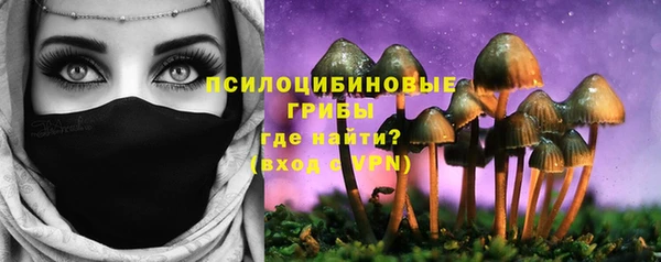 эйфоретик Абинск