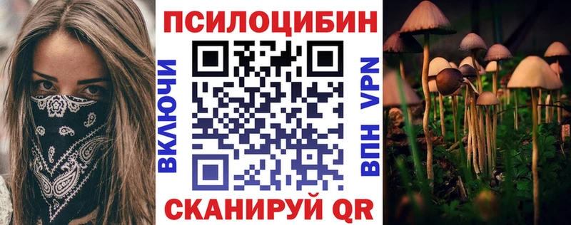 Галлюциногенные грибы мицелий  blacksprut вход  Егорьевск 
