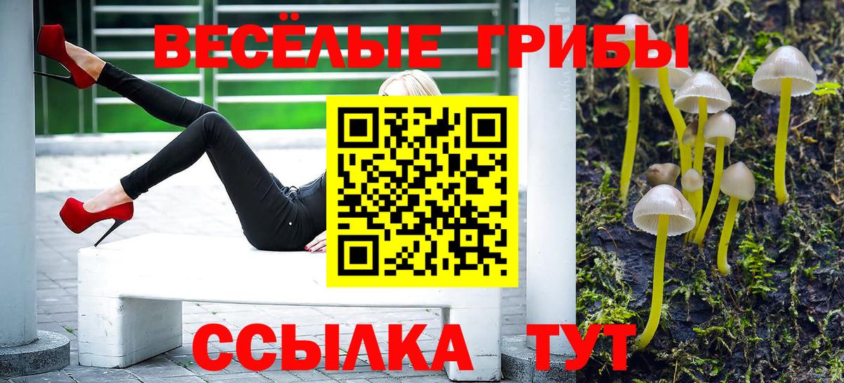 где можно купить   Галлюциногенные грибы GOLDEN TEACHER  Егорьевск  Вход с VPN  Галлюциногенные грибы Magic Shrooms 