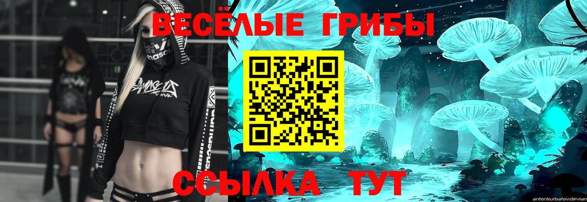 Галлюциногенные грибы Cubensis Егорьевск